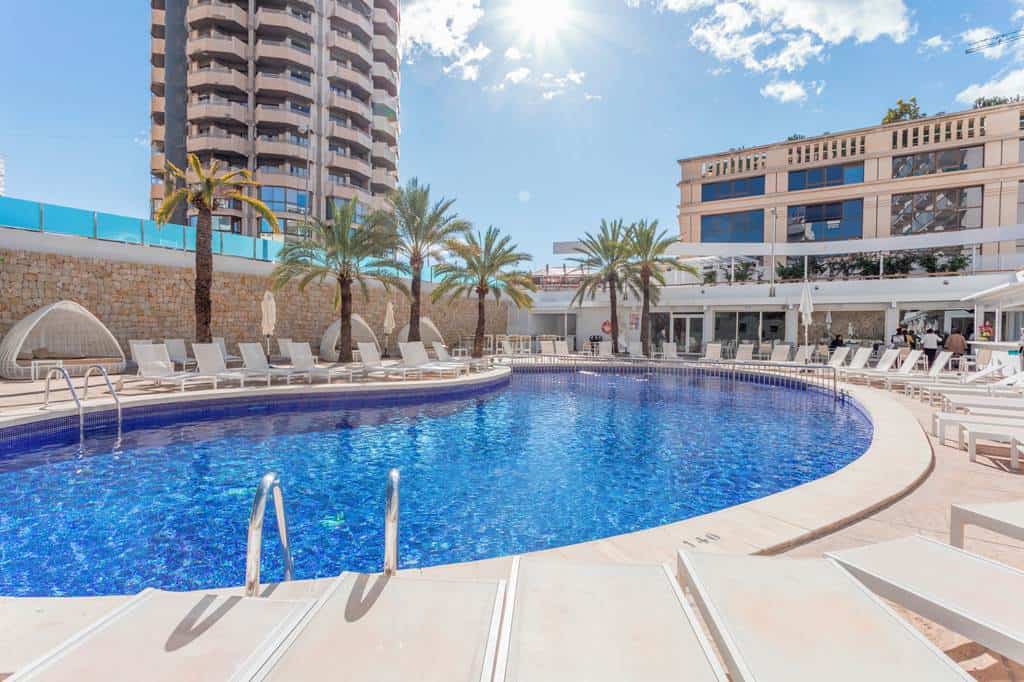 Terms And Conditions